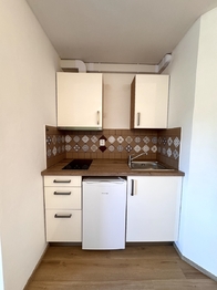 Pronájem bytu 1+kk v osobním vlastnictví 27 m², Praha 8 - Libeň