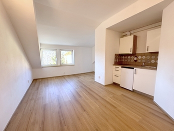 Pronájem bytu 1+kk v osobním vlastnictví 27 m², Praha 8 - Libeň