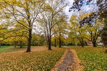 Pronájem bytu 3+1 v osobním vlastnictví 74 m², Praha 4 - Krč
