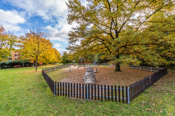 Pronájem bytu 3+1 v osobním vlastnictví 74 m², Praha 4 - Krč