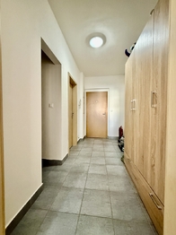 Pronájem bytu 1+kk v osobním vlastnictví 35 m², Plzeň