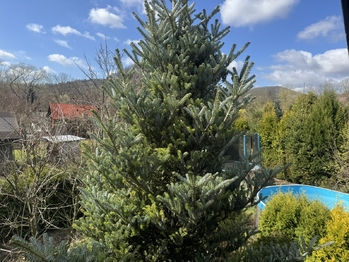 Prodej pozemku 366 m², Děčín