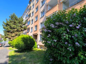 Pronájem bytu 2+1 v osobním vlastnictví 54 m², Sokolov