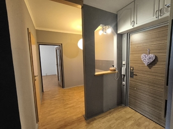 Pronájem bytu 2+1 v osobním vlastnictví 54 m², Sokolov