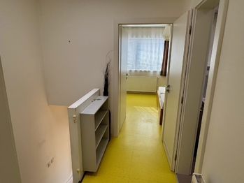 3kk se zahrádkou - Pronájem bytu 3+kk v osobním vlastnictví 70 m², Říčany