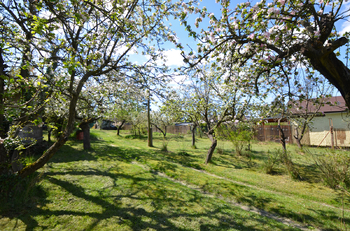 Prodej chaty / chalupy 25 m², Olomouc