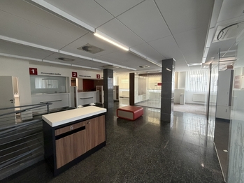 Pronájem obchodních prostor 200 m², Příbram