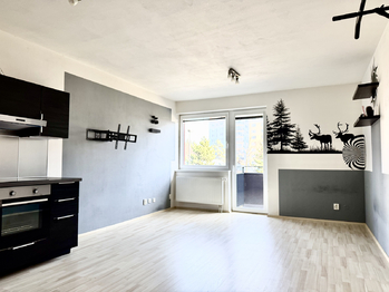 Pronájem bytu 1+kk v osobním vlastnictví 39 m², Brno