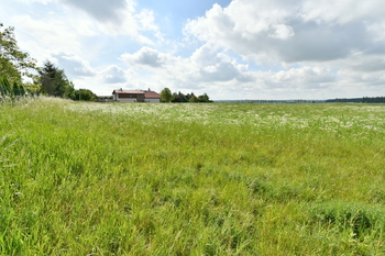 Prodej pozemku 4580 m², Nový Bydžov