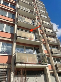 Pronájem bytu 2+1 v osobním vlastnictví 49 m², Liberec