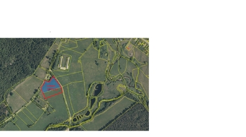 Prodej pozemku 10754 m², Borová Lada