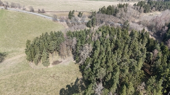 Prodej pozemku 19771 m², Lestkov