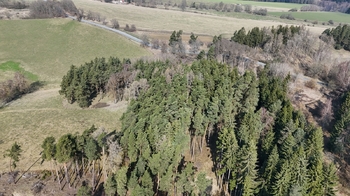 Prodej pozemku 19771 m², Lestkov