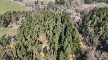 Prodej pozemku 19771 m², Lestkov