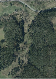 Prodej pozemku 19771 m², Lestkov