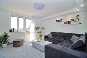 Prodej bytu 3+1 v družstevním vlastnictví 73 m², Křenov