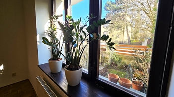 Pronájem bytu 2+kk v osobním vlastnictví 50 m², Praha 6 - Břevnov