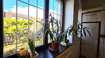 Pronájem bytu 2+kk v osobním vlastnictví 50 m², Praha 6 - Břevnov