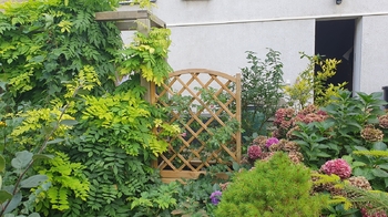 Pronájem bytu 2+kk v osobním vlastnictví 50 m², Praha 6 - Břevnov