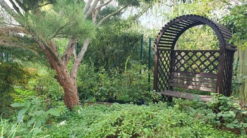 Pronájem bytu 2+kk v osobním vlastnictví 50 m², Praha 6 - Břevnov