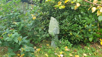 Pronájem bytu 2+kk v osobním vlastnictví 50 m², Praha 6 - Břevnov