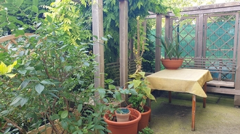 Pronájem bytu 2+kk v osobním vlastnictví 50 m², Praha 6 - Břevnov