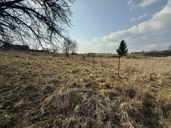 Prodej pozemku 880 m², Chudenice