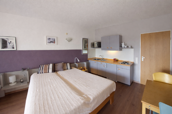 Prodej bytu 1+kk v osobním vlastnictví 38 m², Strážný