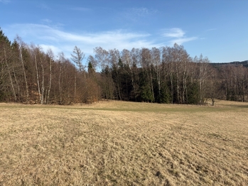 Prodej pozemku 18276 m², Nový Hrádek