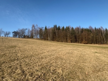 Prodej pozemku 18276 m², Nový Hrádek