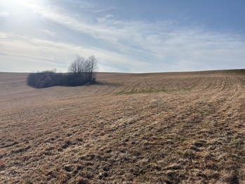 Prodej pozemku 18276 m², Nový Hrádek