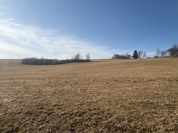 Prodej pozemku 18276 m², Nový Hrádek