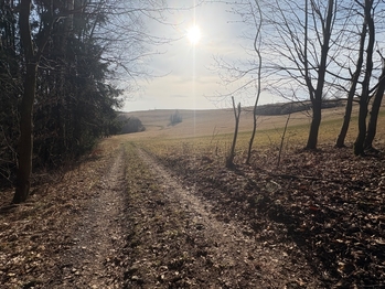 Prodej pozemku 18276 m², Nový Hrádek