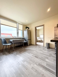 Pronájem bytu 1+1 v družstevním vlastnictví 33 m², Duchcov