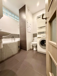 Pronájem bytu 1+1 v družstevním vlastnictví 33 m², Duchcov