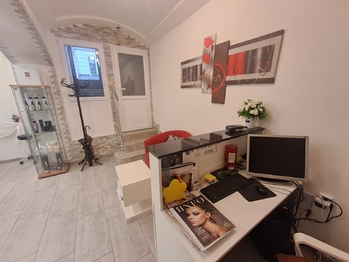 Pronájem obchodních prostor 52 m², Praha 3 - Vinohrady