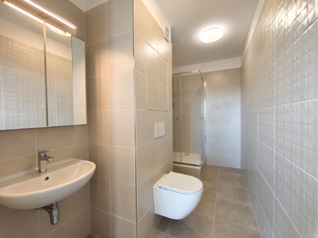 Koupelna - Pronájem bytu 1+1 v osobním vlastnictví 49 m², České Budějovice