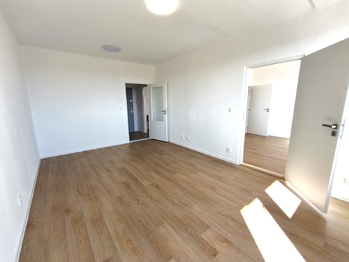 ložnice - Pronájem bytu 1+1 v osobním vlastnictví 49 m², České Budějovice