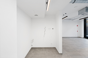 Pronájem obchodních prostor 60 m², Praha 3 - Žižkov