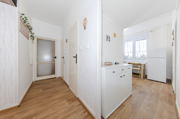 Pronájem bytu 2+1 v družstevním vlastnictví 60 m², Mohelnice