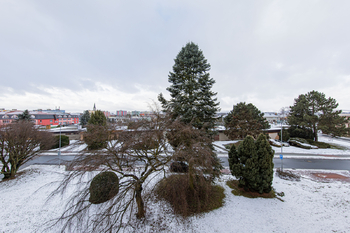 Pronájem bytu 2+1 v družstevním vlastnictví 60 m², Mohelnice