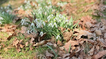 Prodej chaty / chalupy 42 m², Velký Beranov