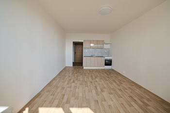 Prodej bytu 1+kk v družstevním vlastnictví 34 m², Havířov