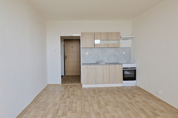 Prodej bytu 1+kk v družstevním vlastnictví 34 m², Havířov