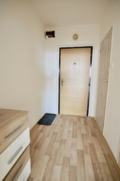 Prodej bytu 1+kk v družstevním vlastnictví 34 m², Havířov