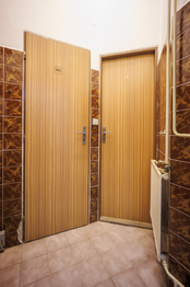 Pronájem obchodních prostor 20 m², Ostrava