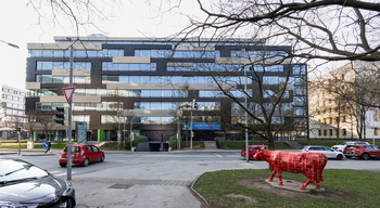 Pronájem obchodních prostor 177 m², Praha 8 - Libeň