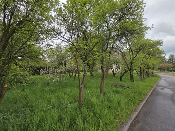 Prodej domu 215 m², Slatina