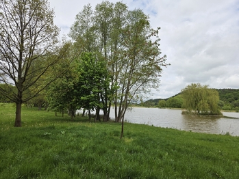 Prodej domu 215 m², Slatina