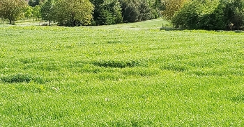 ilustrativní foto - Prodej pozemku 32235 m², Drnovice